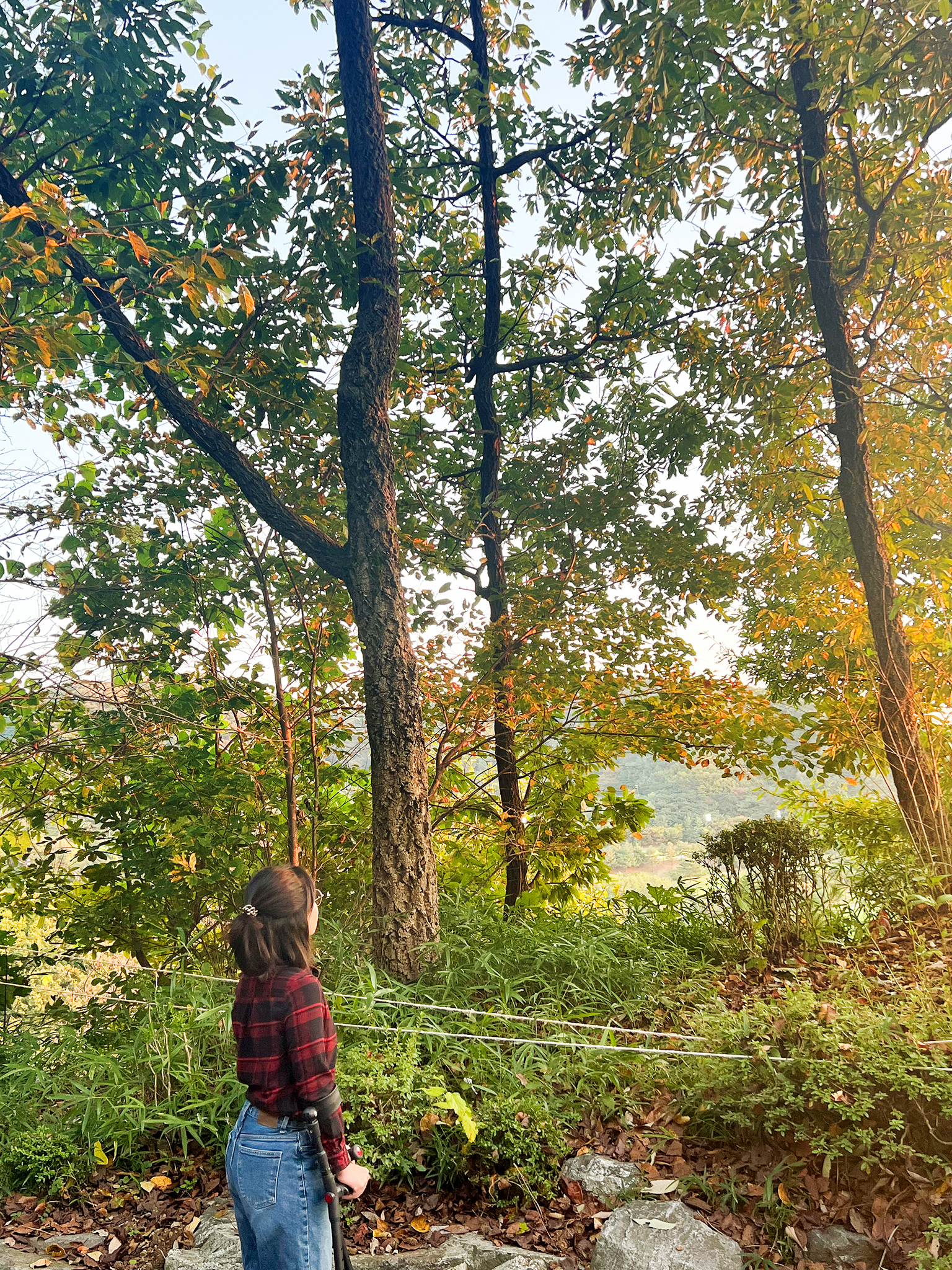 산책 - 2048.jpg