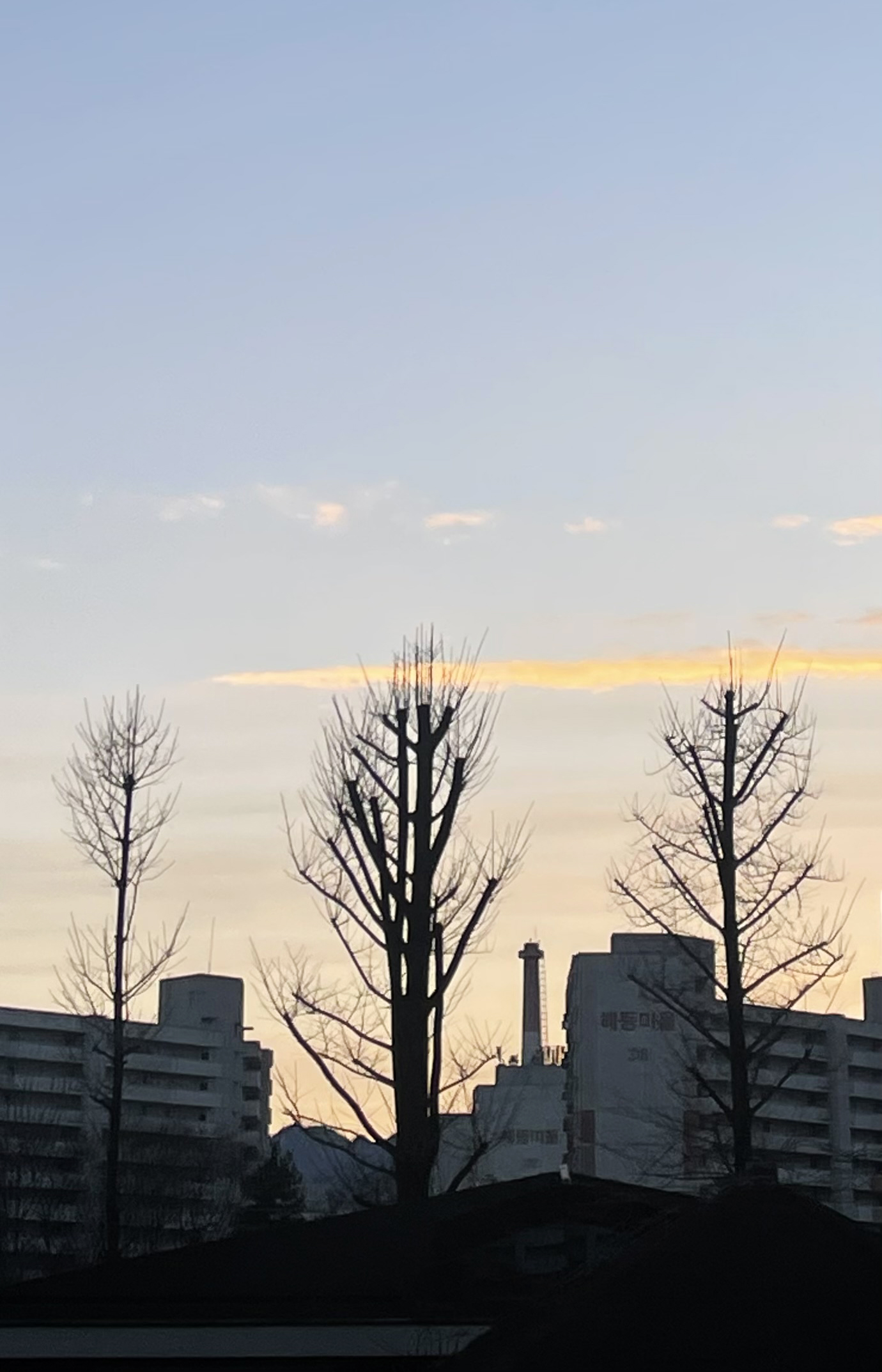 (속엣말) 뉴스레터 사진_re.jpg