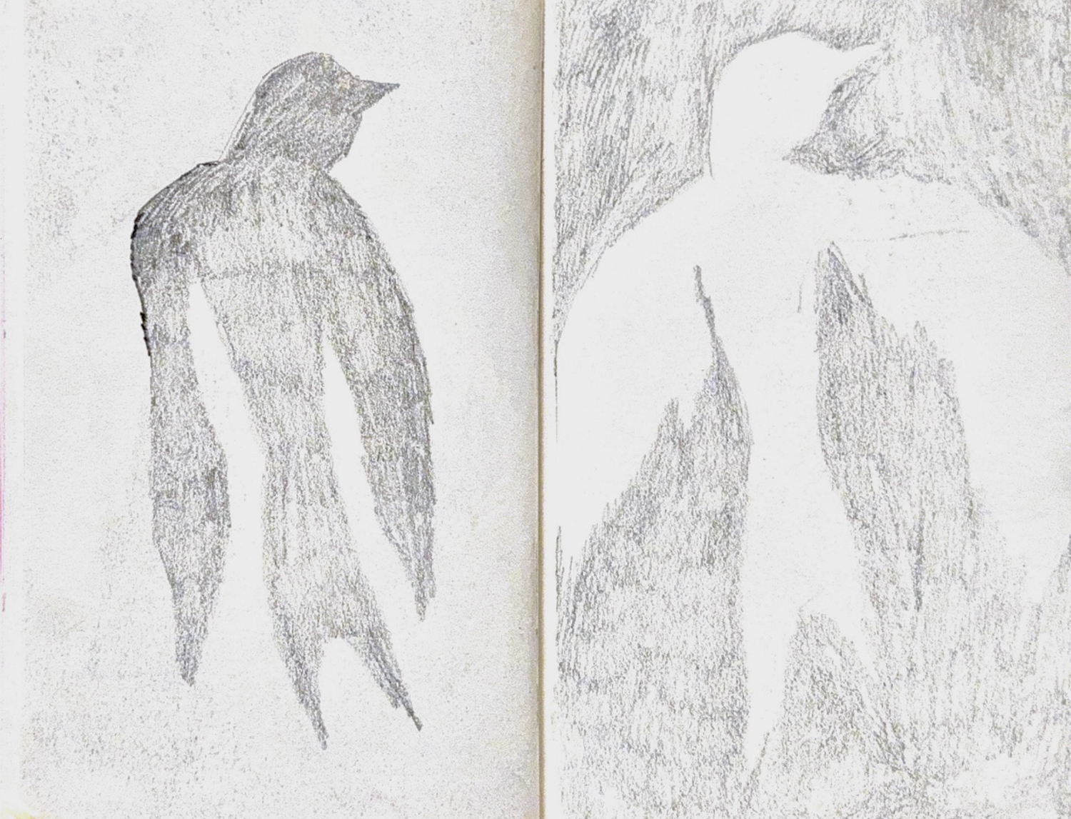 물고기_시가 되지 못한 목소리.jpg