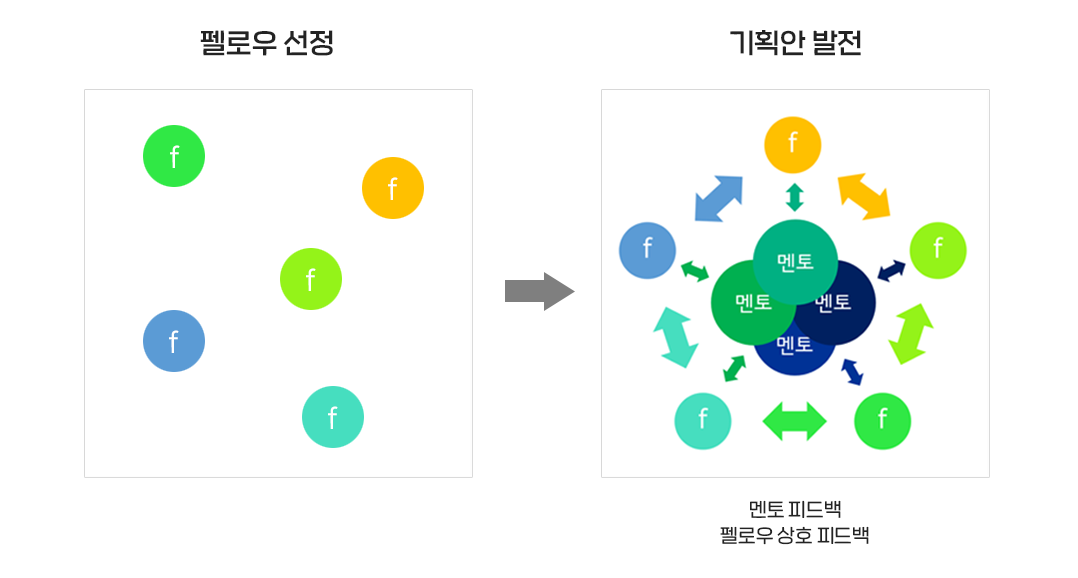 펠로우 과정.png